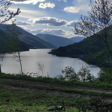 Arinda Jajce